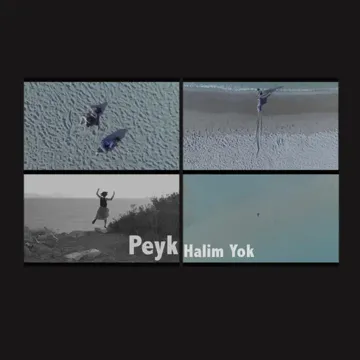 Halim Yok-cover