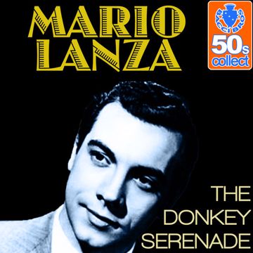 The Donkey Serenade