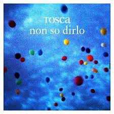Non so dirlo-cover