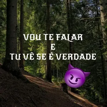 VOU TE FALAR E TU VÊ SE É VERDADE-cover