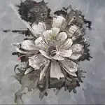 albatross-nepali-cover-image