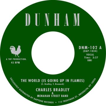The World (Is Going up in Flames)