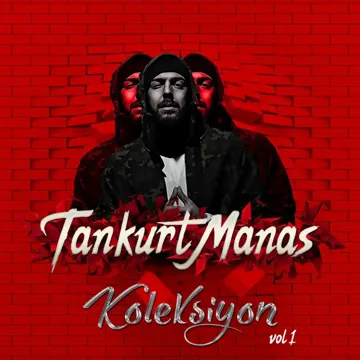 Akıl Hastası (feat. Allame)-cover