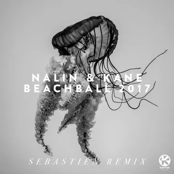 Beachball (Sebastien Remix)-cover