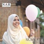 Satu Hari Nanti-cover
