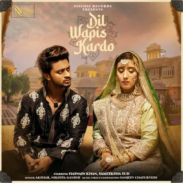 DIL WAPIS KARDO-cover