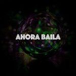 Bajito(Remix)-cover