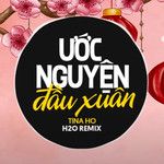 Ước Nguyện Đầu Xuân Remix(EDM Remix)-cover