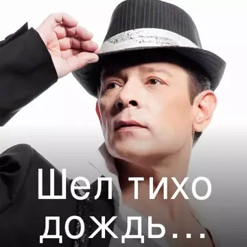 Шел тихо дождь-cover