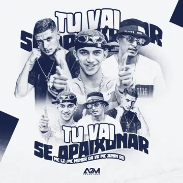 Tu Vai Se Apaixonar-cover