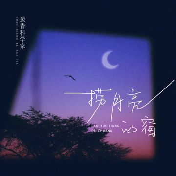 捞月亮的窗-cover