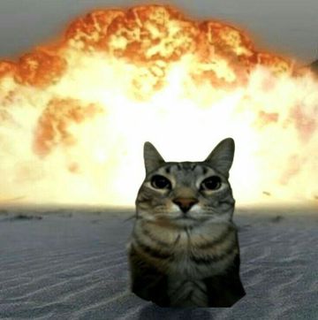 coveImg