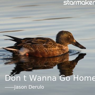 Don't Wanna Go Home-cover