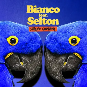Saremo Giovani-cover