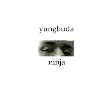 Ninja-cover