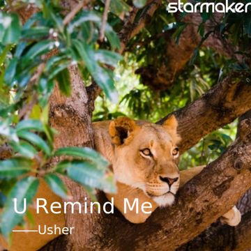 U Remind Me-cover
