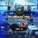La Muchacha del Salado "la Nicholette"(En Vivo)-cover