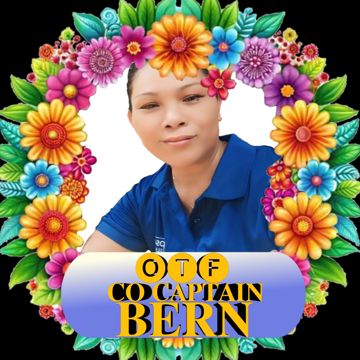 Nothing to lose by cocpat bern & cocpat noel