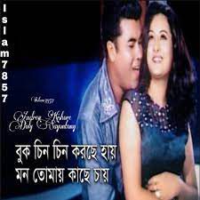 বুক চিন চিন করছে হায়-cover