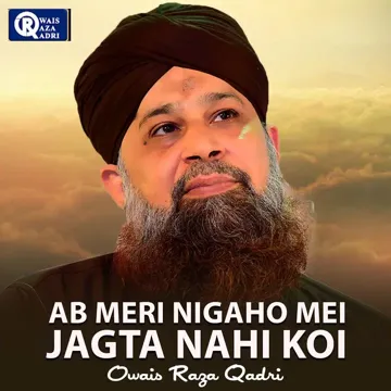 Ek Main Hi Nahi Un Par Qurban Zamana Hai-cover