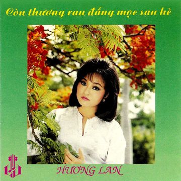 Hình Bóng Quê Nhà-cover