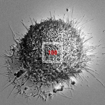 100(Feat.천재노창)-cover