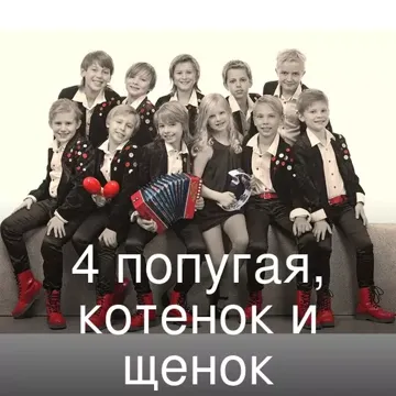 4 попугая, котенок и щенок-cover