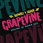 Grapevine-cover