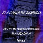 Ela Gosta de Bandido-cover