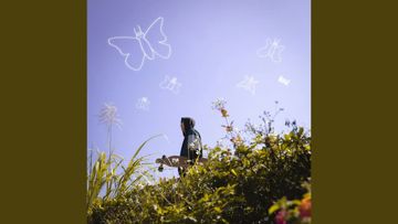 Butterflies-cover