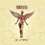 nirvana-radio-friendly-unit-shifter-cover-image