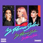 Yo Perreo Sola(Remix Explicit)-cover