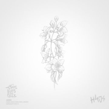 Jaśmin-cover