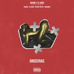 Groserias (feat. Gaviria, Polako, Bryant Myers &amp; Anonimus)-cover