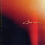 Señorita-cover