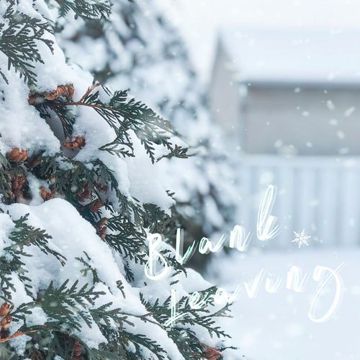 Blank Leaving（留白）