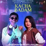 Kacha Badam (Haryanvi)-cover