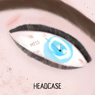 Headcase-cover