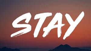 STAY -cover