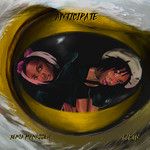 Anticipate-cover
