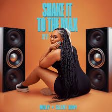 Shake It To The Max (FLY)-cover