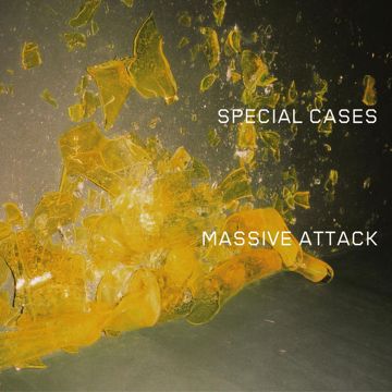 Special Cases-cover