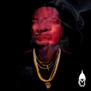 Stan-cover
