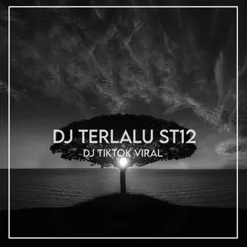 Dj Terlalu ST12 Slow Bass Terbaru 2023-cover
