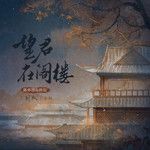 望君在阁楼-cover
