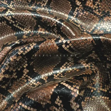 lotusx-kapl-peime-cover-image