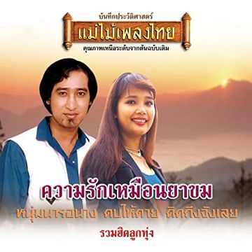 หนุ่มนารอนาง