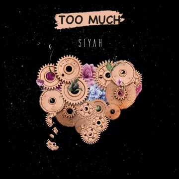 Too Much-cover