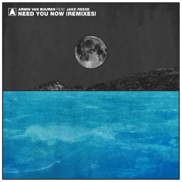 Need You Now (Neptunica Remix)-cover