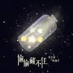 偷偷藏不住（非官方小说发烧友追星歌曲）-cover